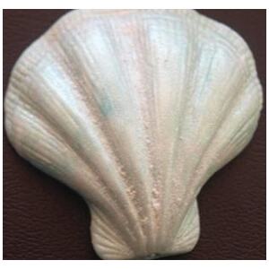 SILICONE MOULD CLAM SHELL C/S