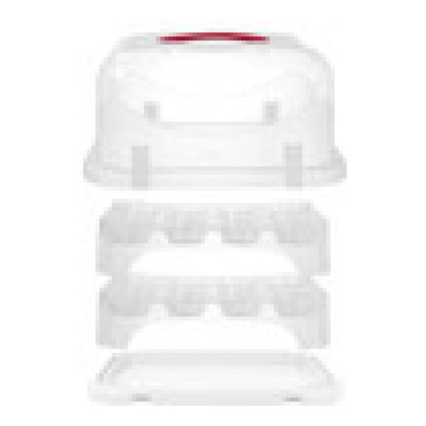 CAKE CARRIER RECTANGLE - AVANTI