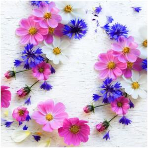 NAPKINS SUMMER FLORAL