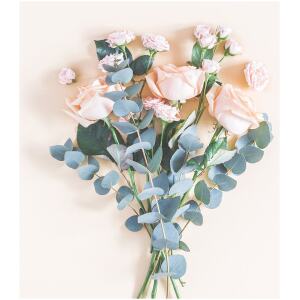NAPKINS PEACH ROSES