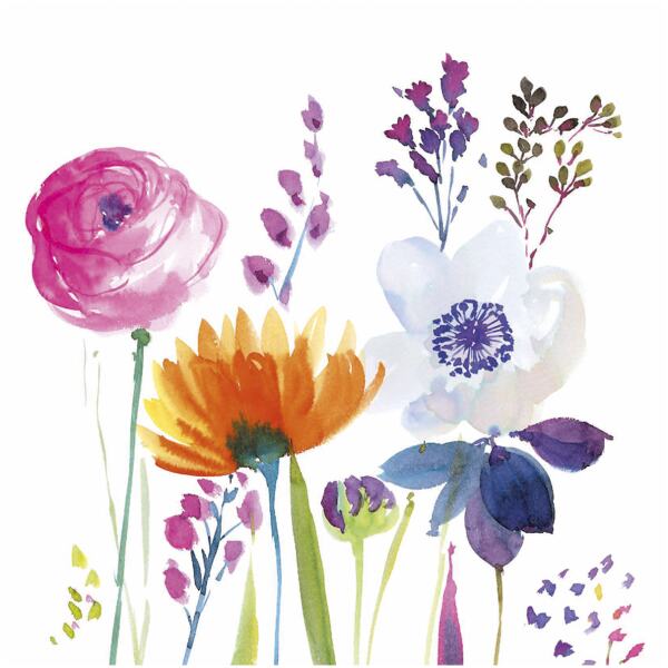NAPKINS SPRING FIELDS