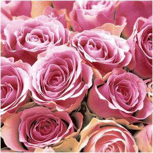 NAPKINS PINK ROSES