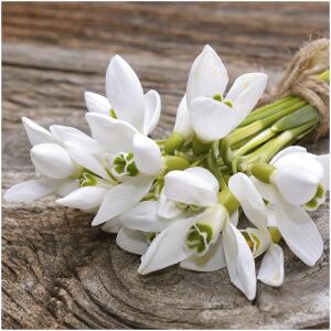 NAPKINS SNOWDROP BUNCH