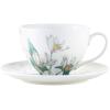 CUP AND SAUCER ROYAL BOTANIC ORCHID WHITE - MAXWELL AND WILLIAMS
