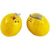 SALT AND PEPPER SHAKERS LEMONS - URBAN