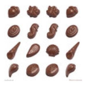 CHOCOLATE MOULD SEASHELLS AND ACORNS - ROBERTS