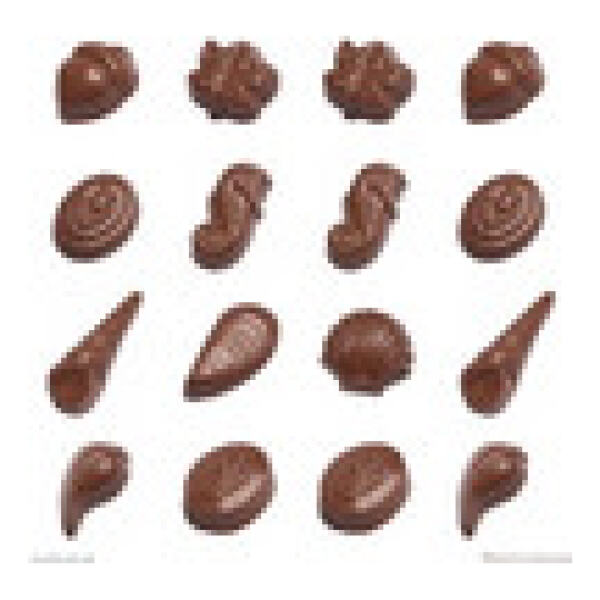 CHOCOLATE MOULD SEASHELLS AND ACORNS - ROBERTS