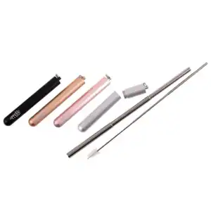 TRAVEL STRAW SET ASSORT COLOURS - APETITO